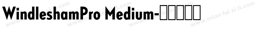 WindleshamPro Medium字体转换